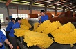 Uy tín, thương hiệu Cao su Lộc Ninh ngày càng cao